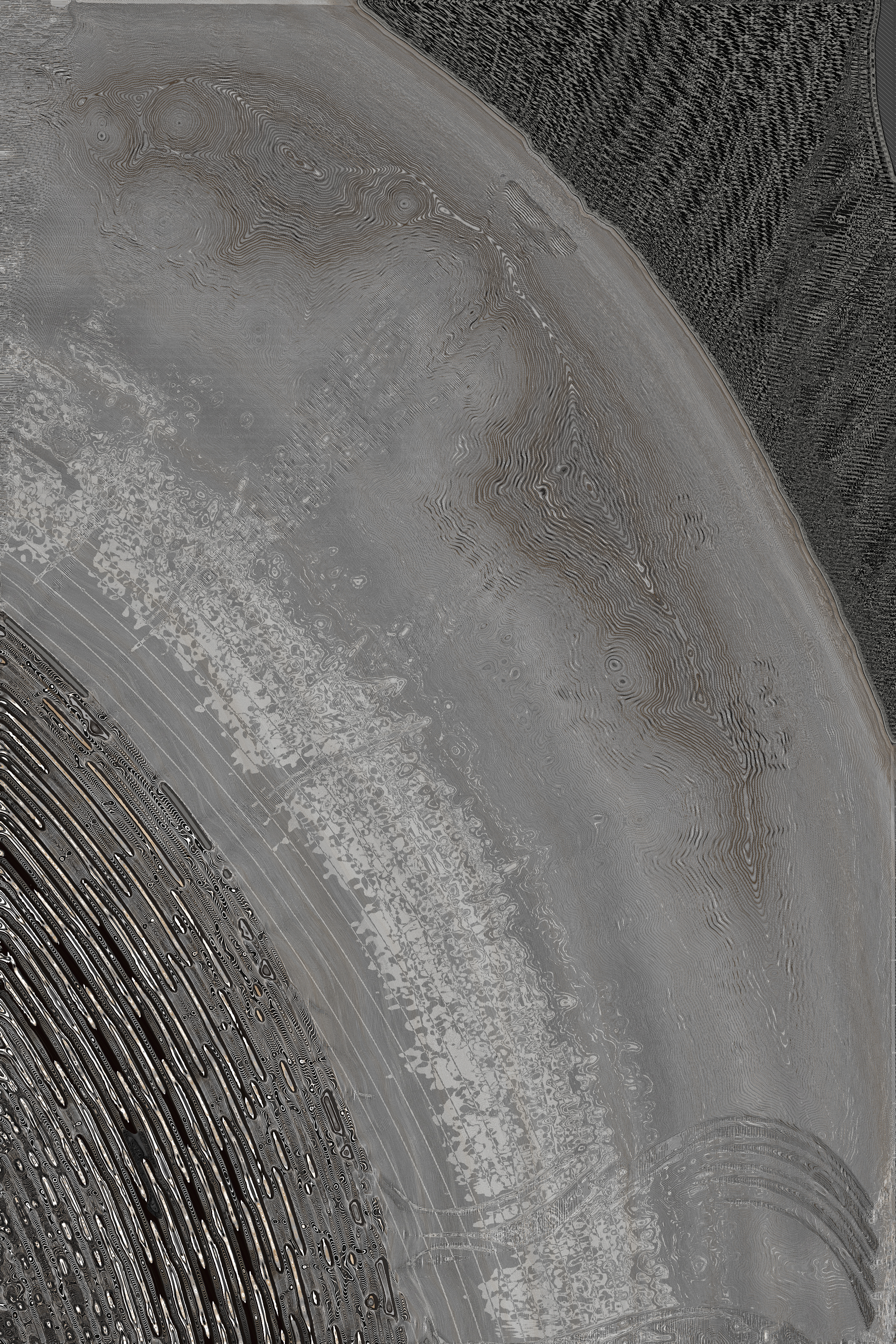 Dactylogram #54