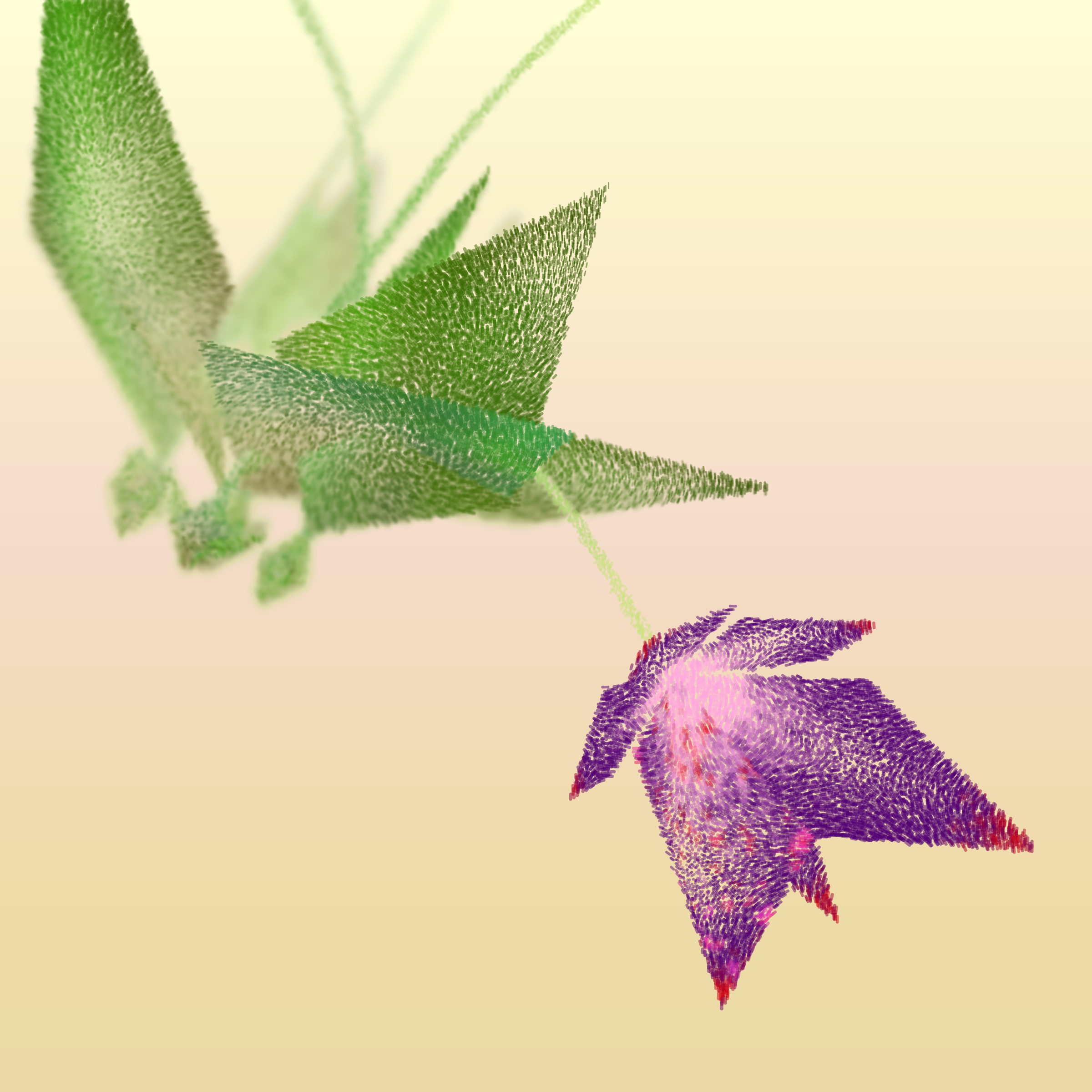 Cattleya #289
