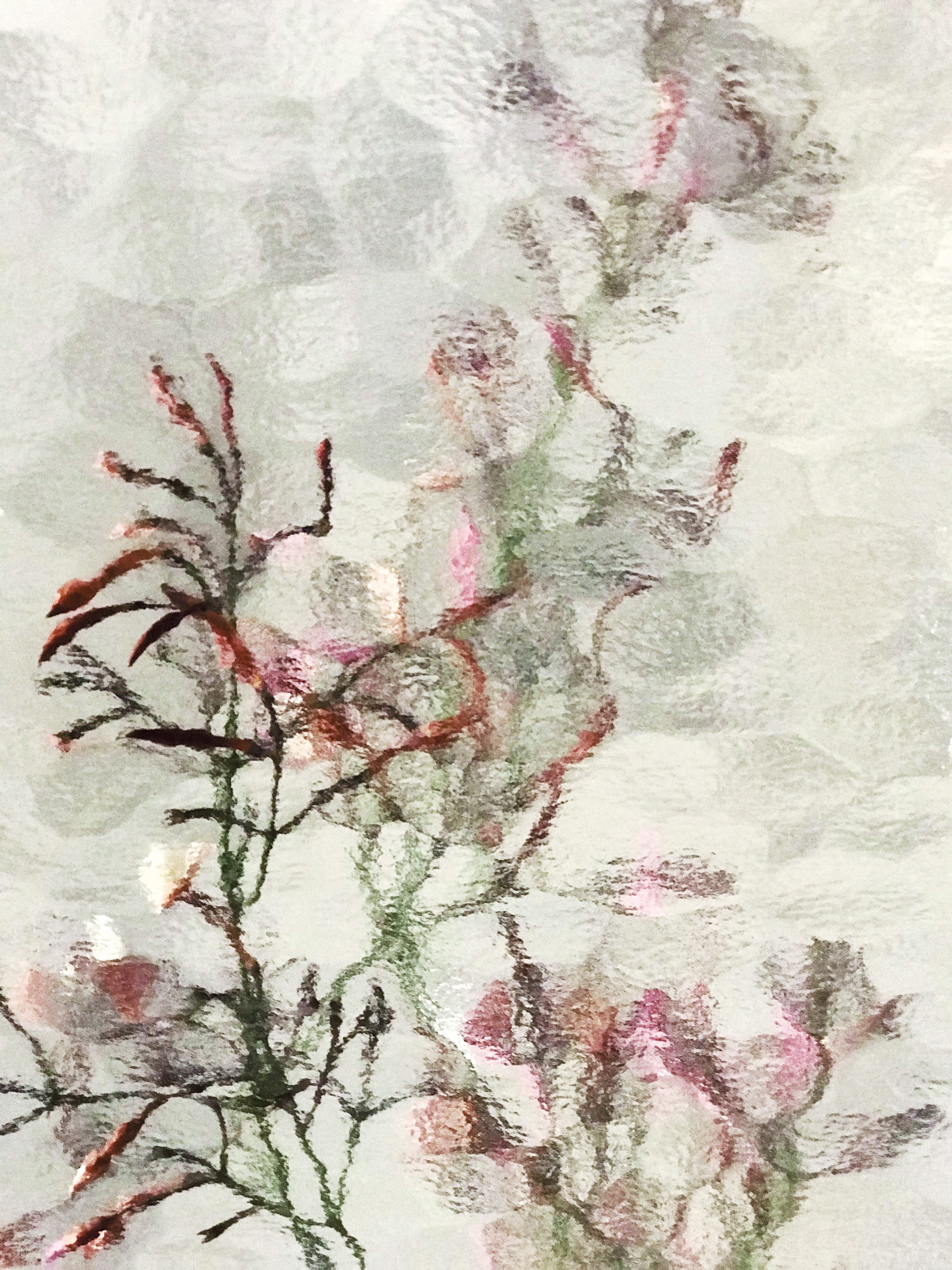 Reflections #13