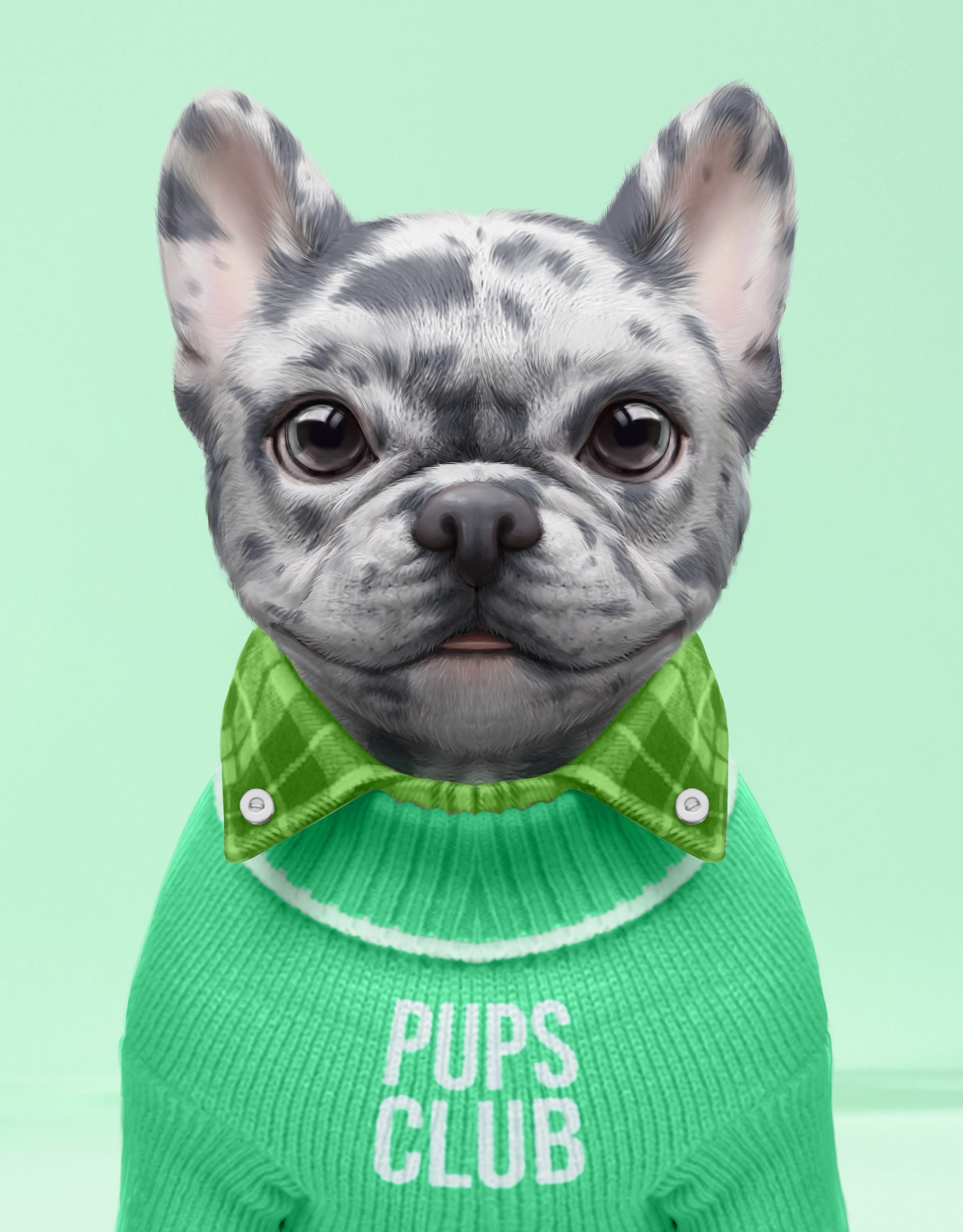 Pup #778