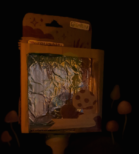 [TRUFFLEKINDER] Only Box