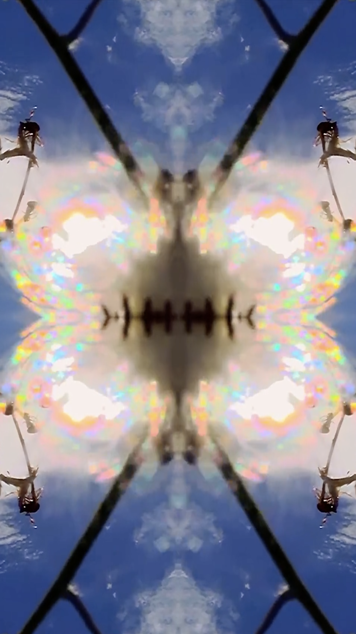 WISHSTAR