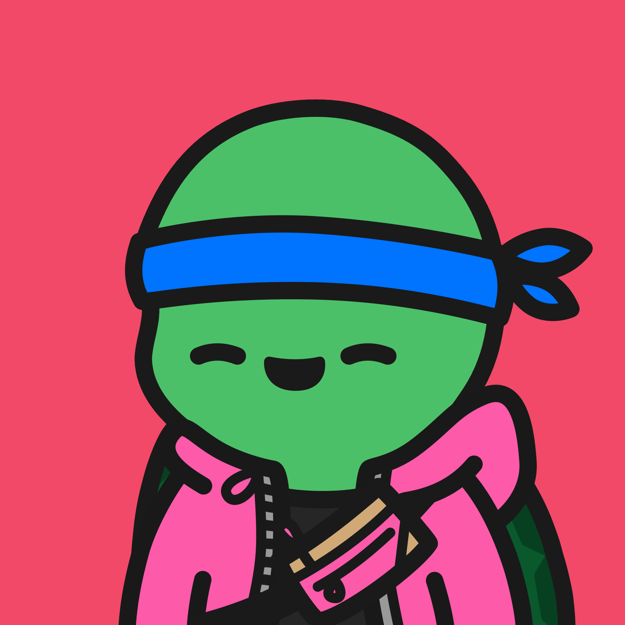 Turtle Town #2746