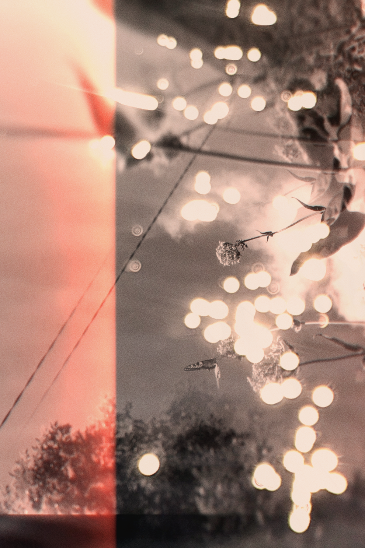 Diaries #40