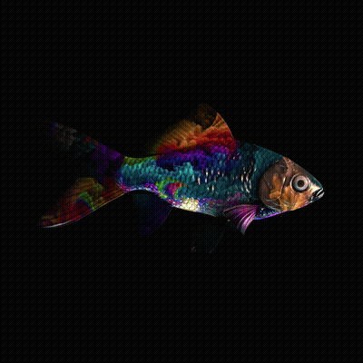 CryptoFish #1074