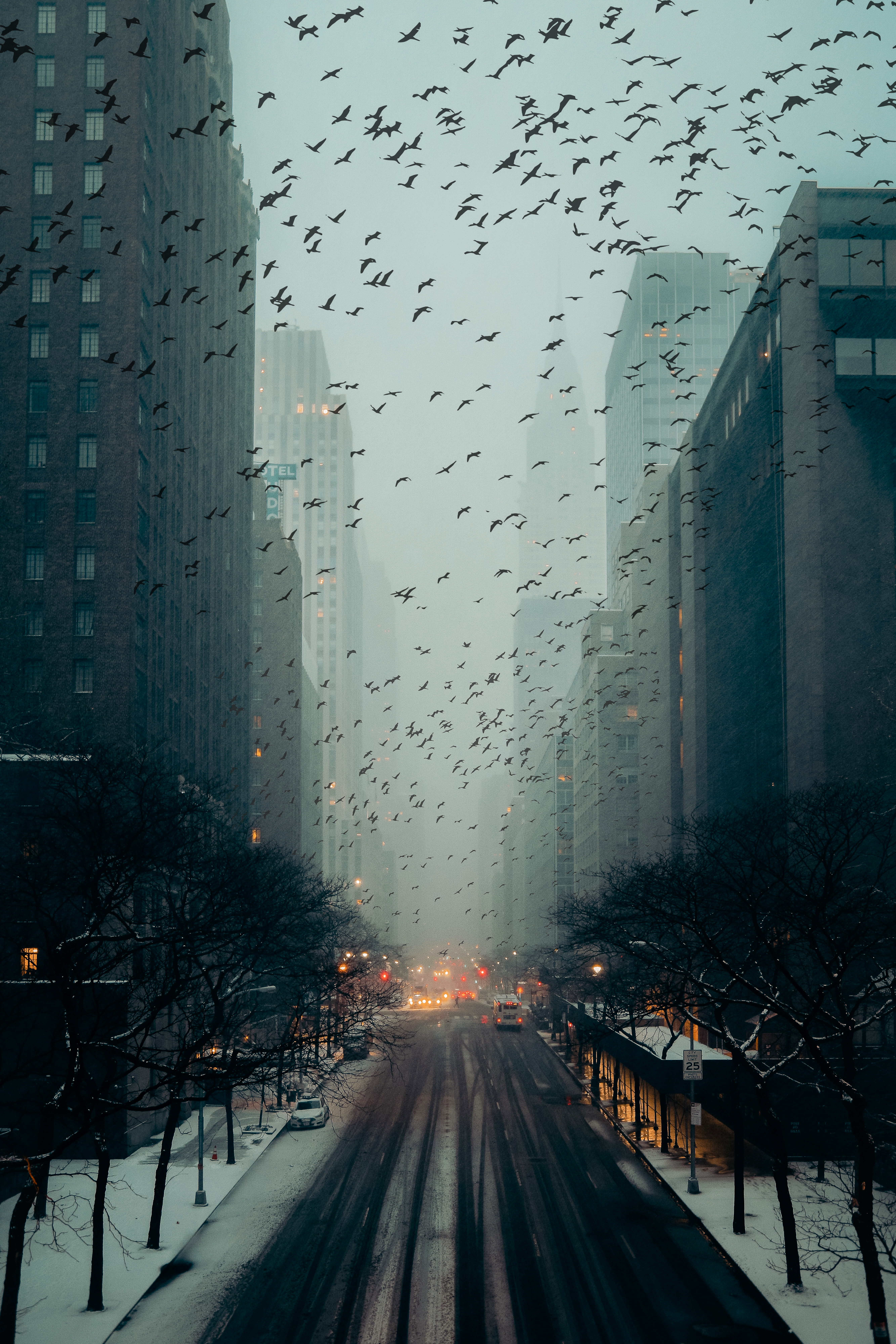 DARK KNIGHT