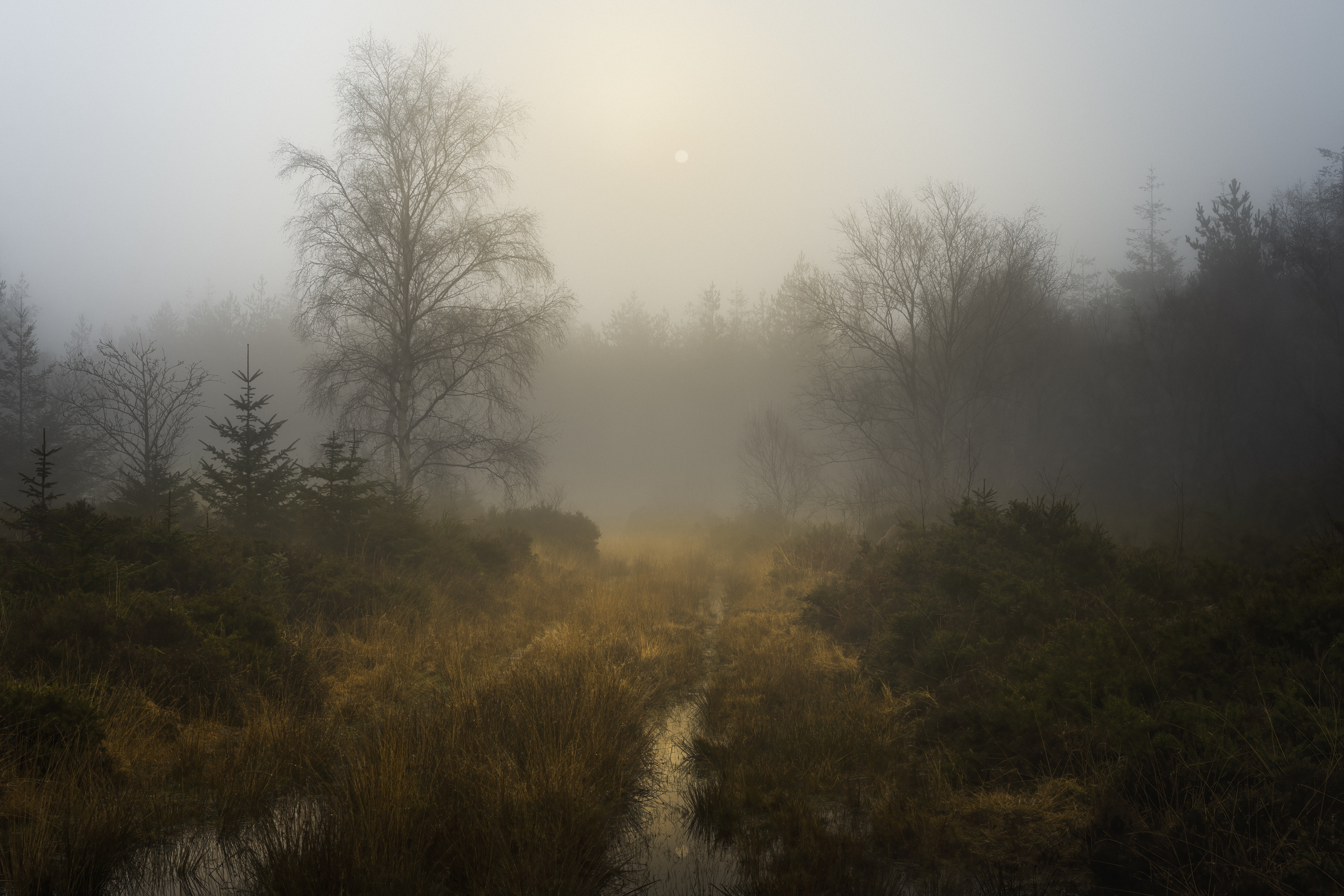 SUNRISE