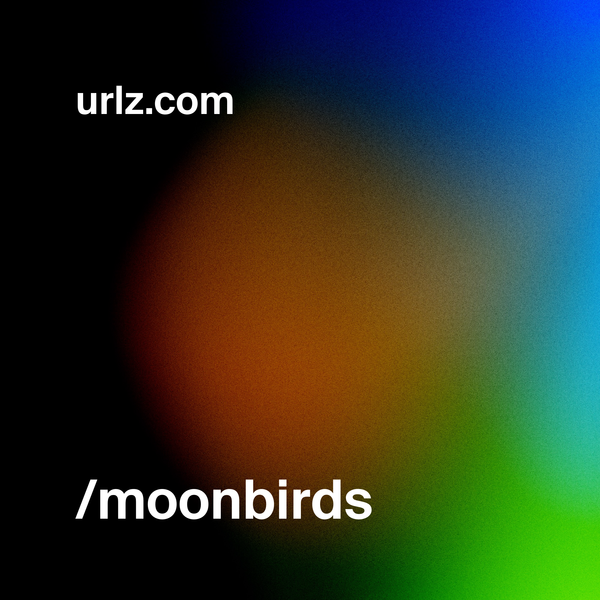 moonbirds
