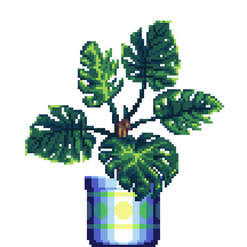 Monstera in Large Pattern pot