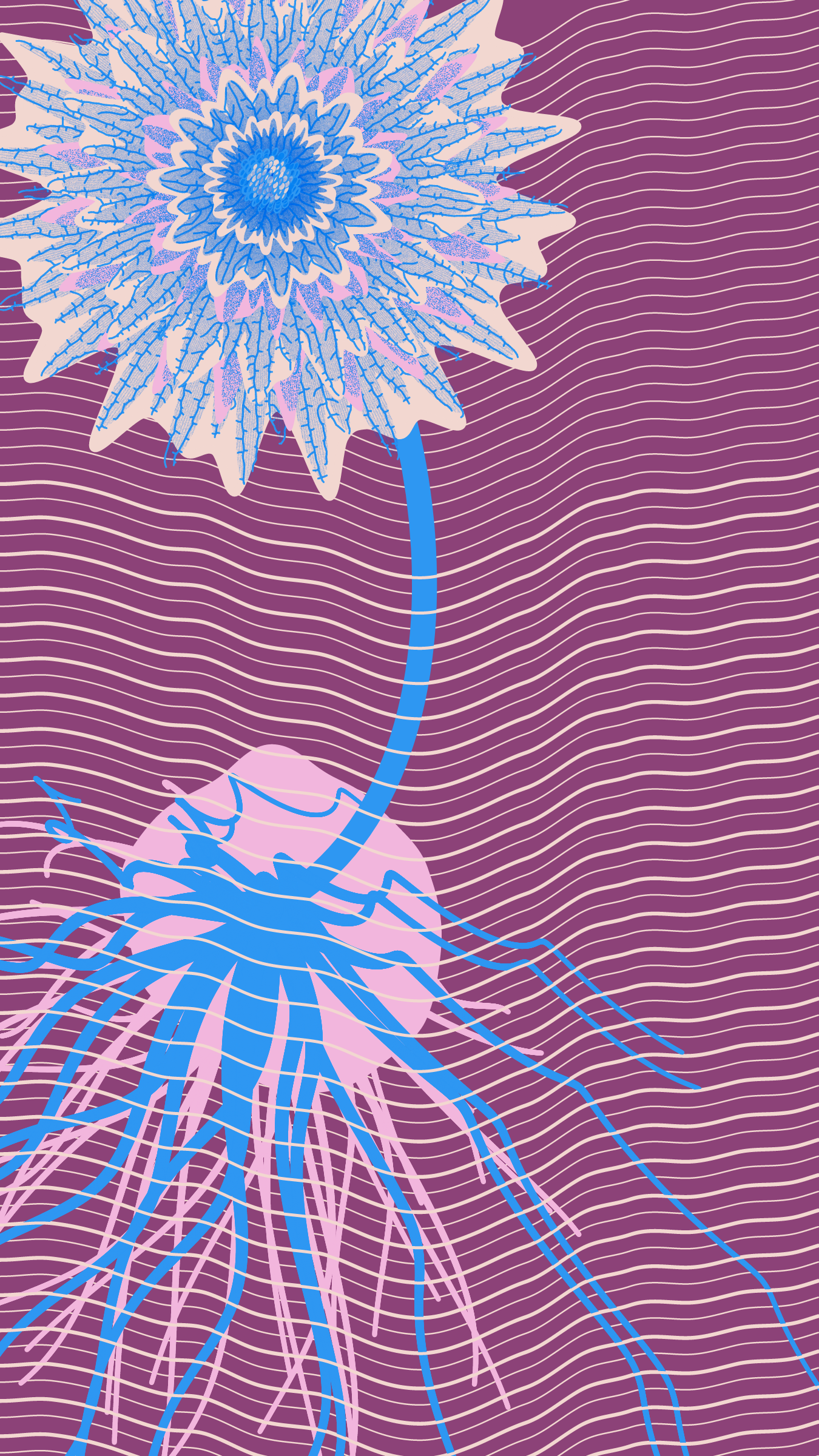 Underwater #77