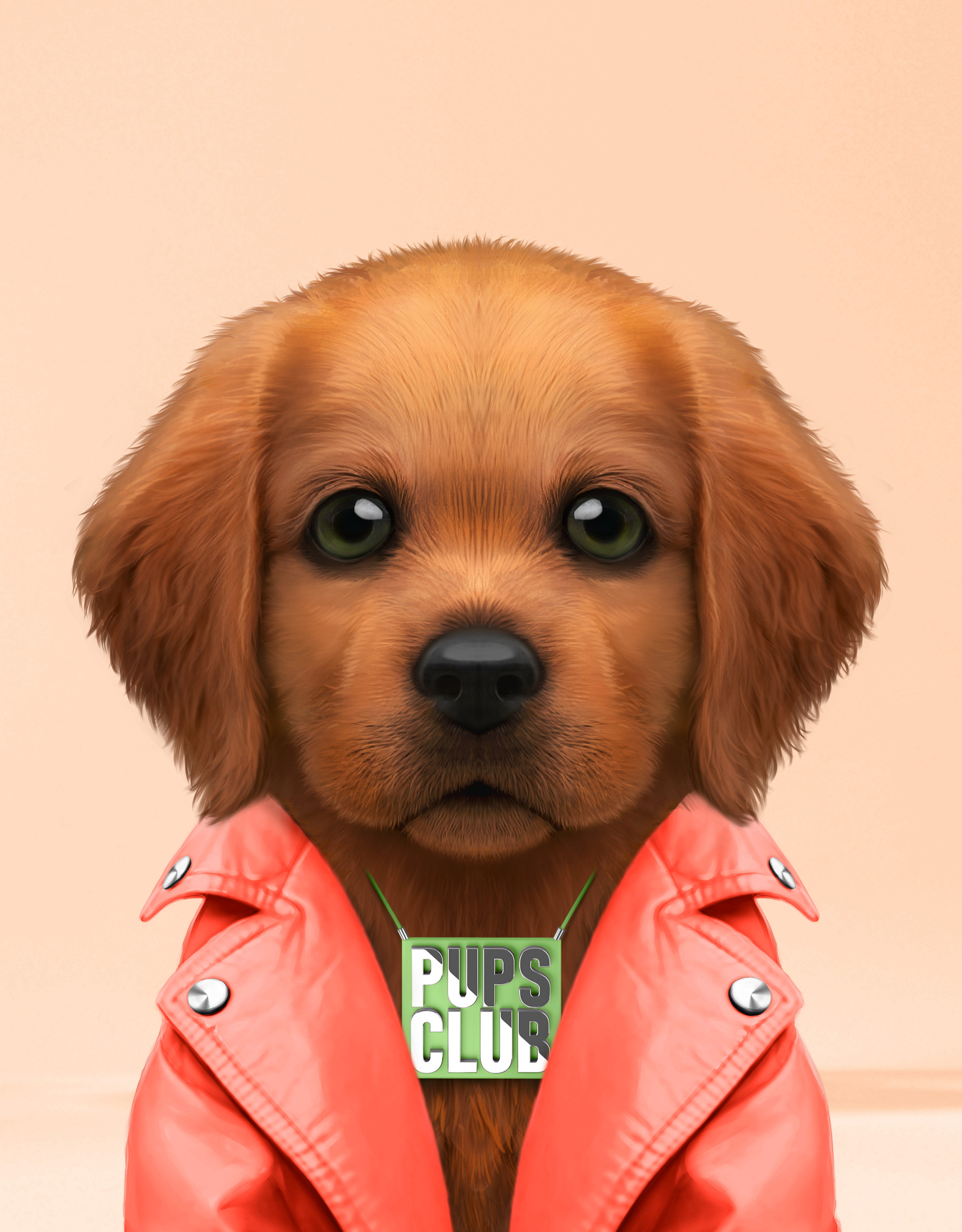 Pup #7484