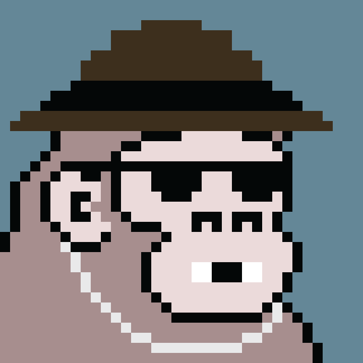 Kong Punk #06927