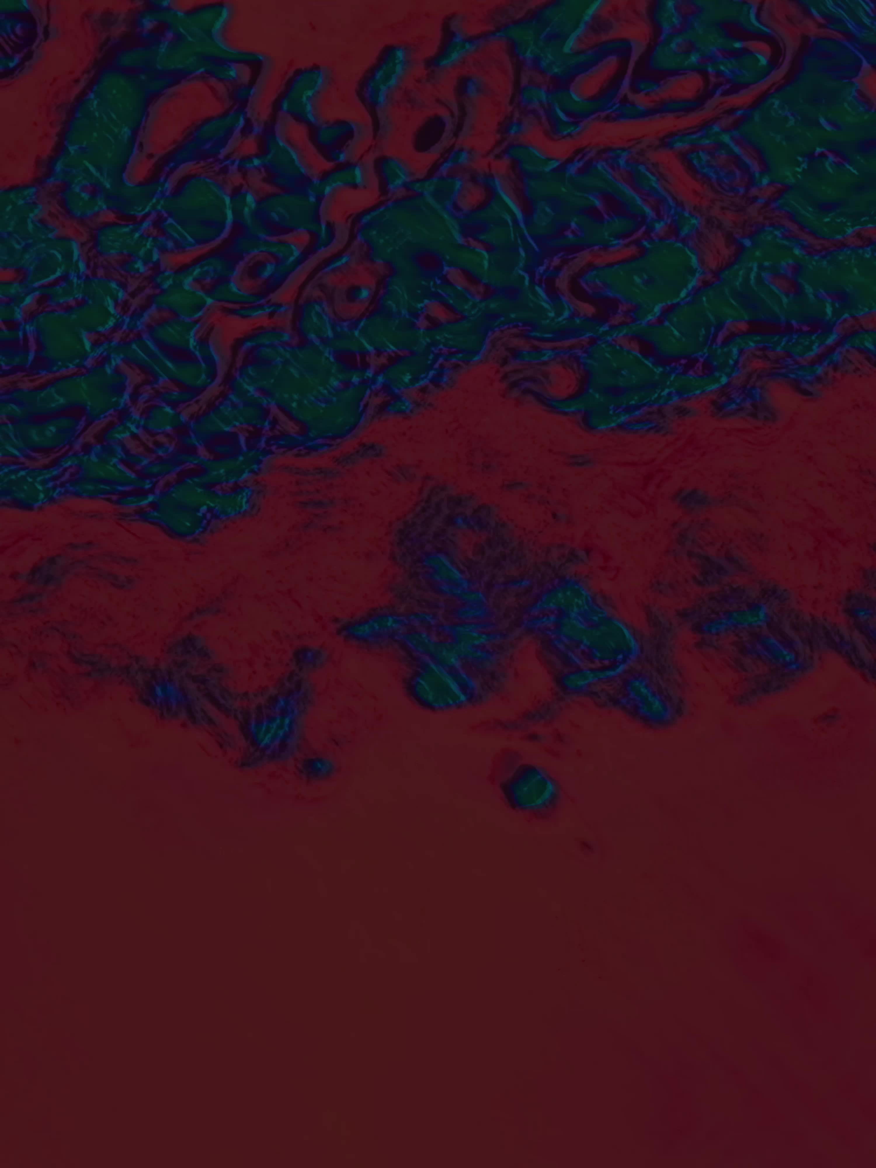 HYPER DESIGN APPLIED #2/31