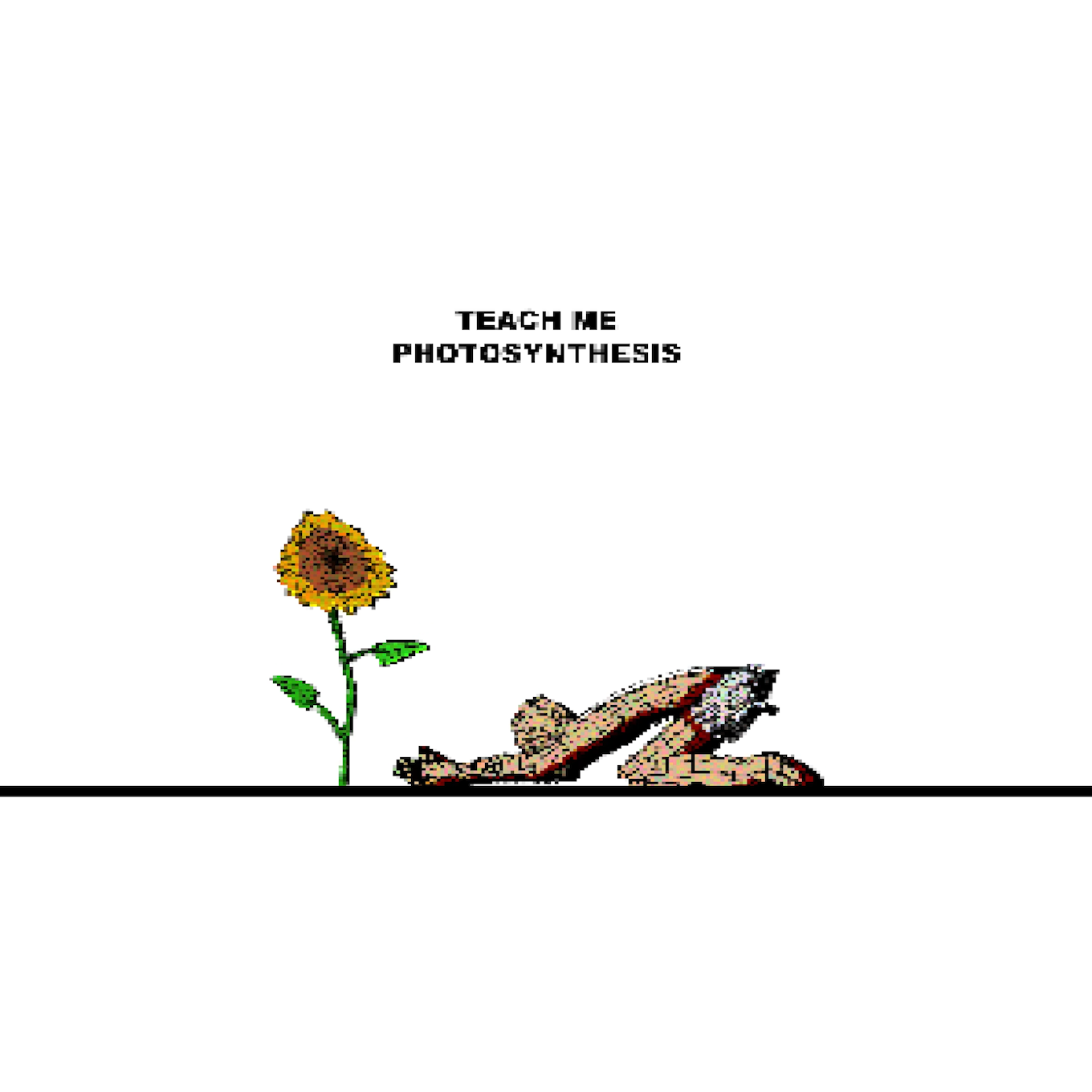 TEACH ME PHOTOSYNTHESIS #2/2