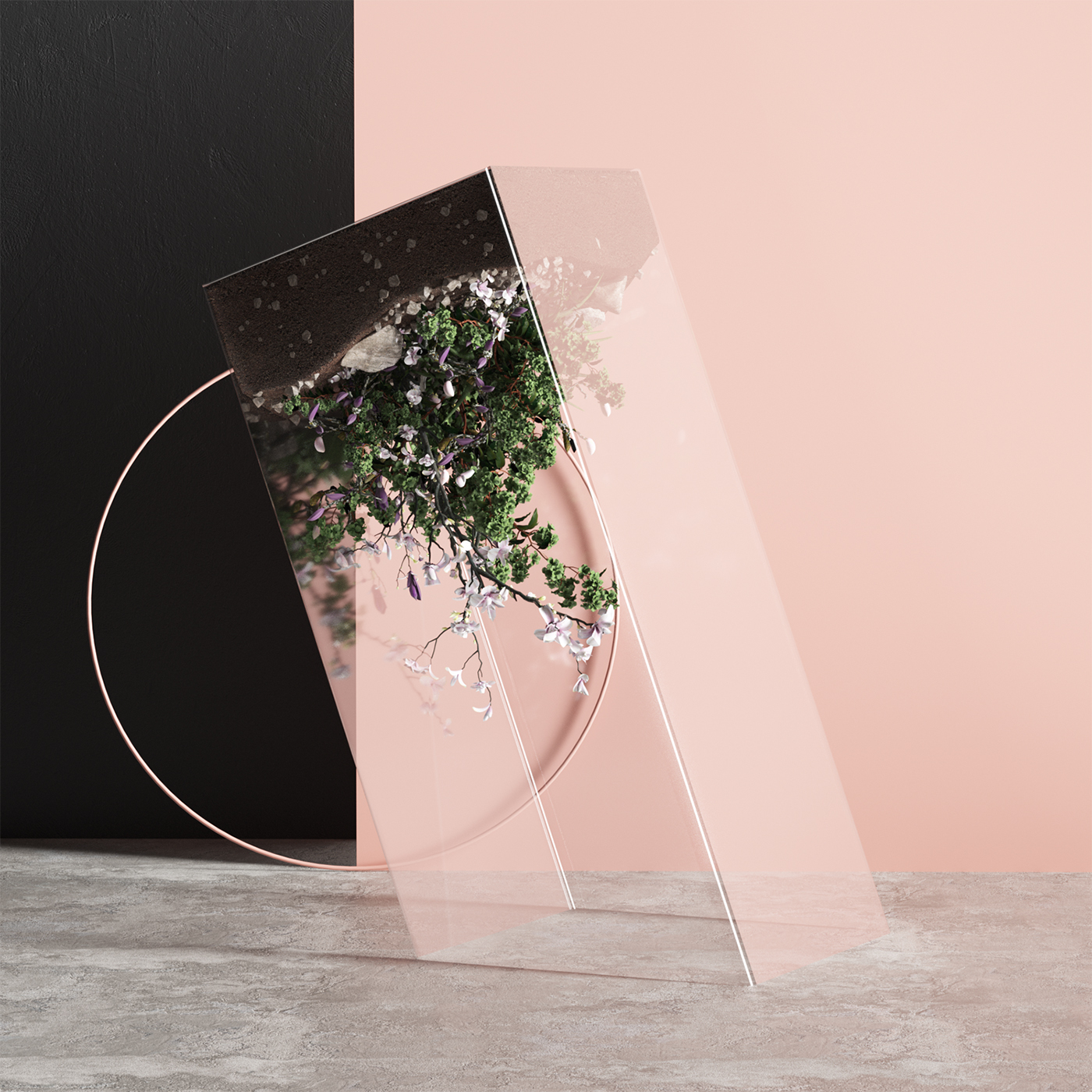 Plants