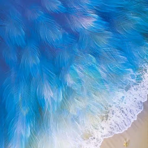 sea
