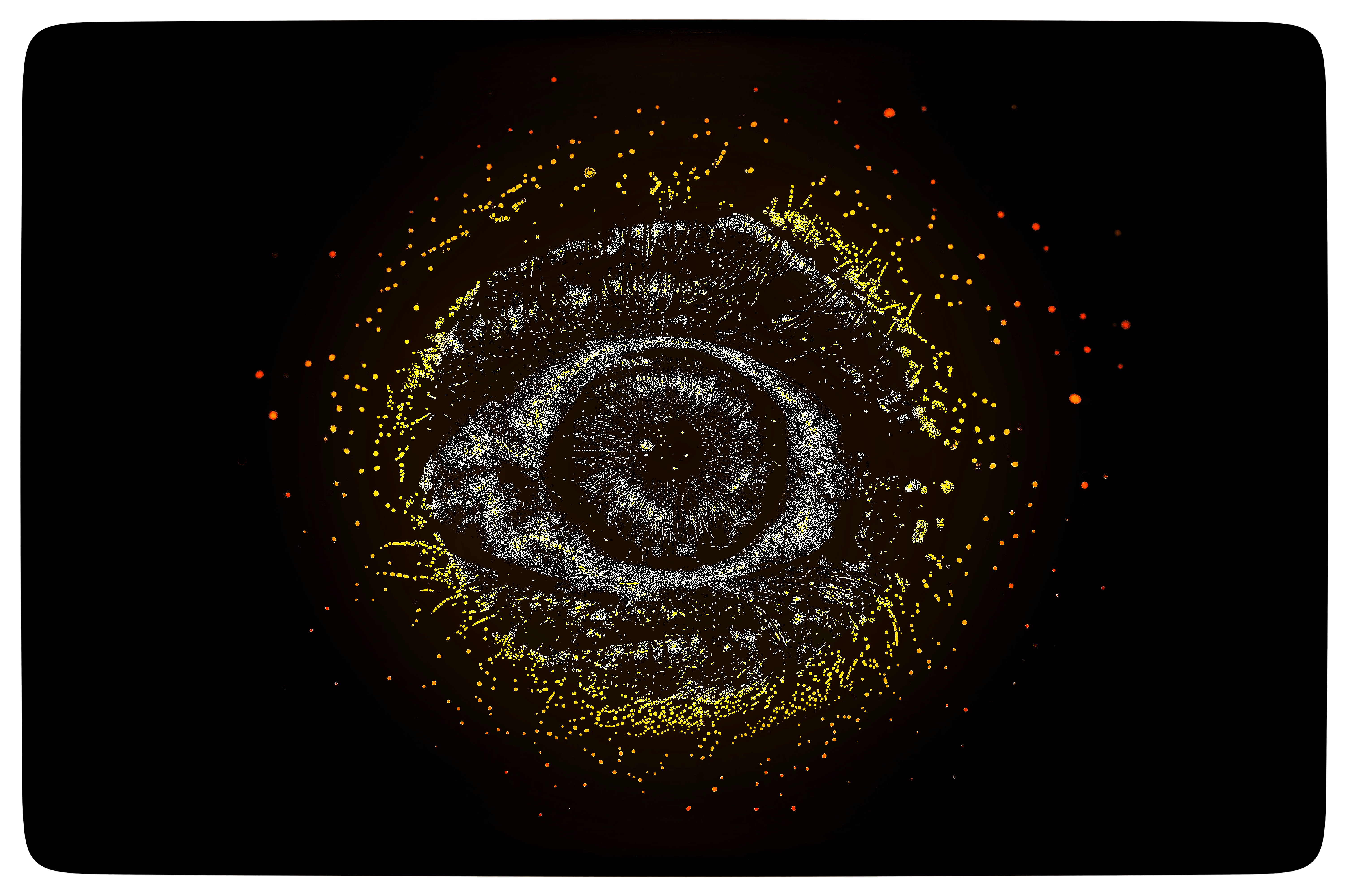 Eye #33