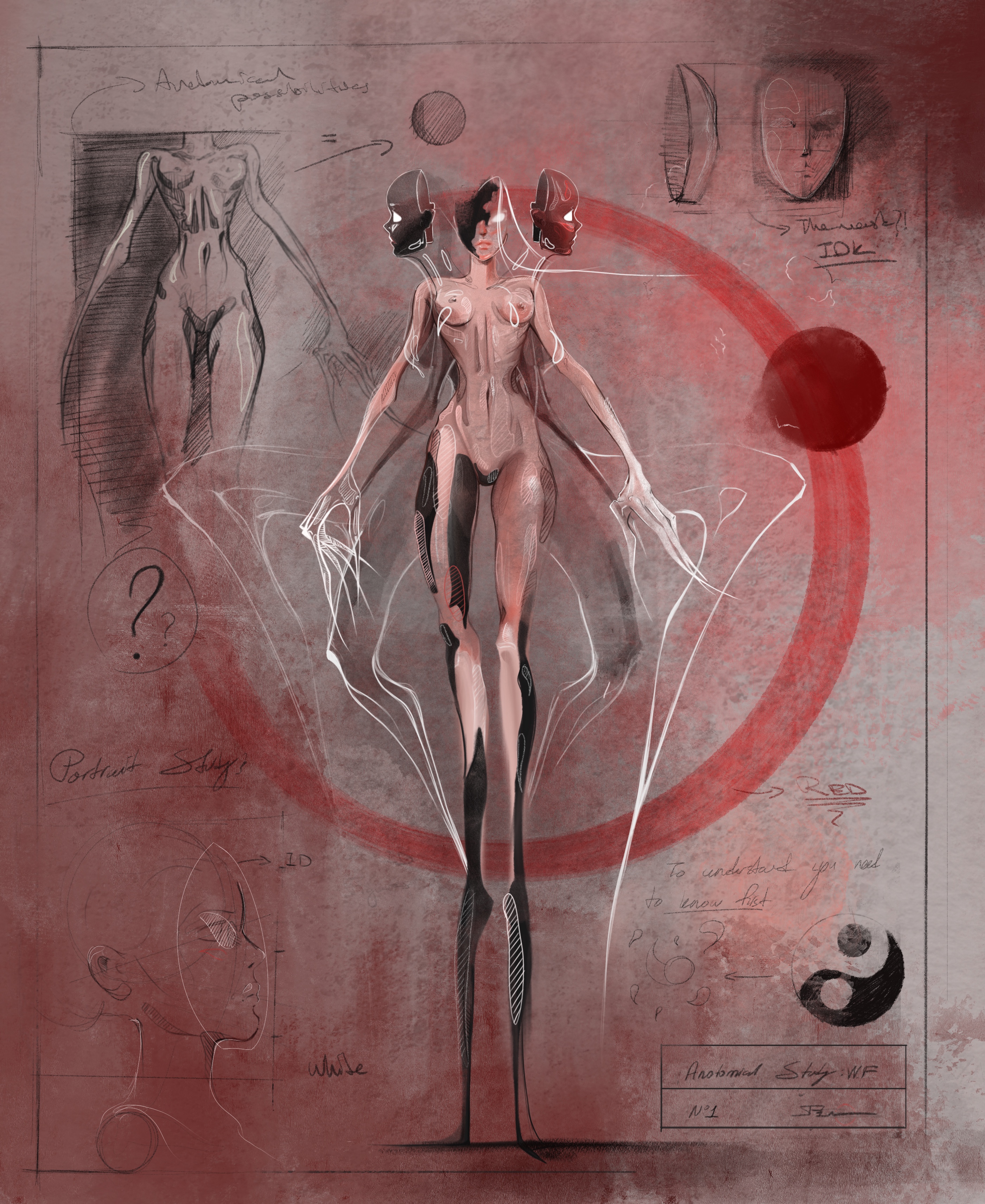 Anatomical Study N°1