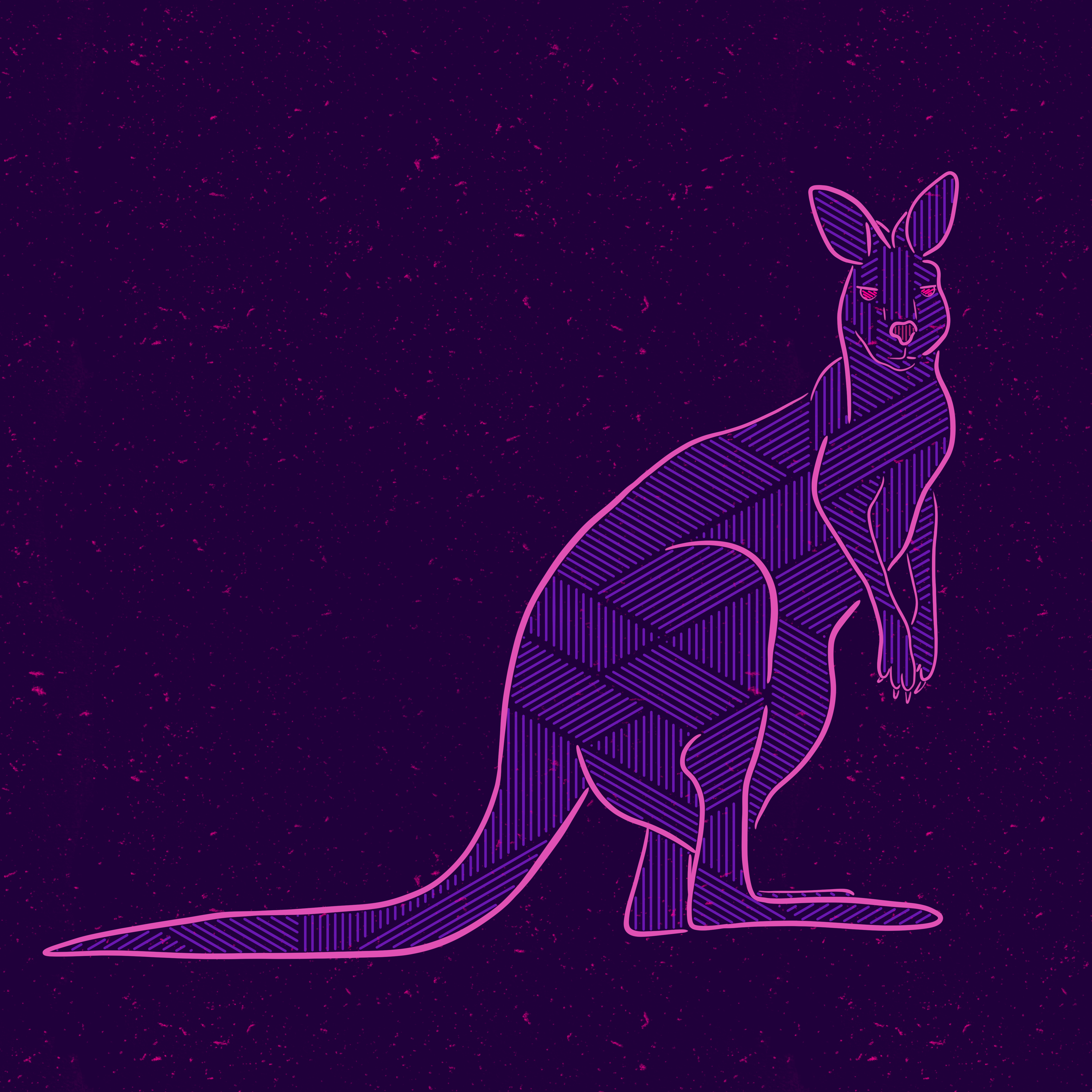 Kangaroo la#36