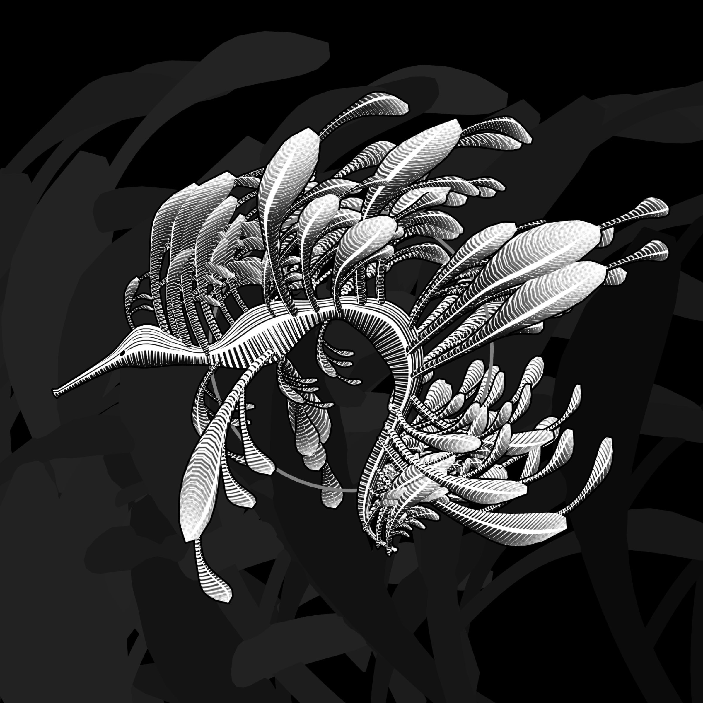 Seadragons #504