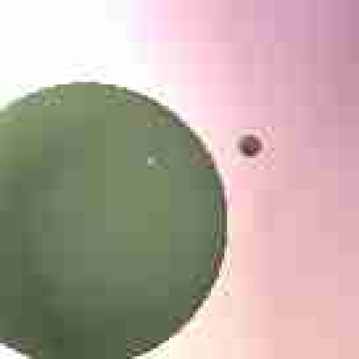 Orbit 212420948