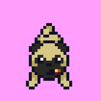 Dog #11