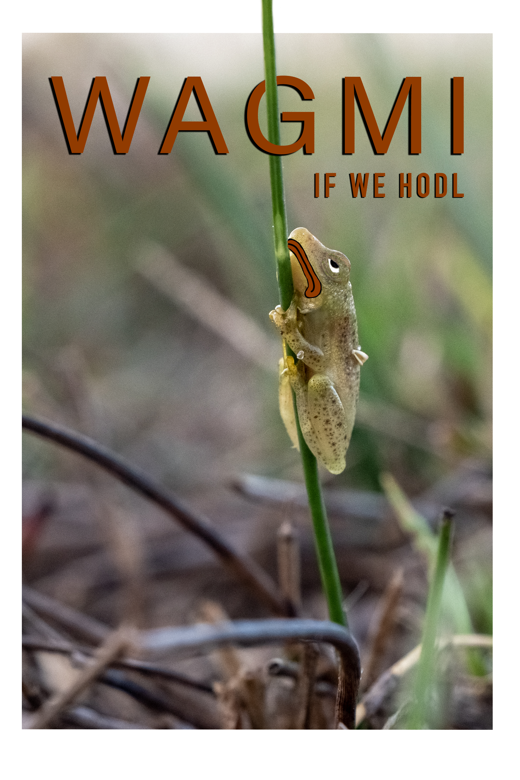 WAGMI If We HODL