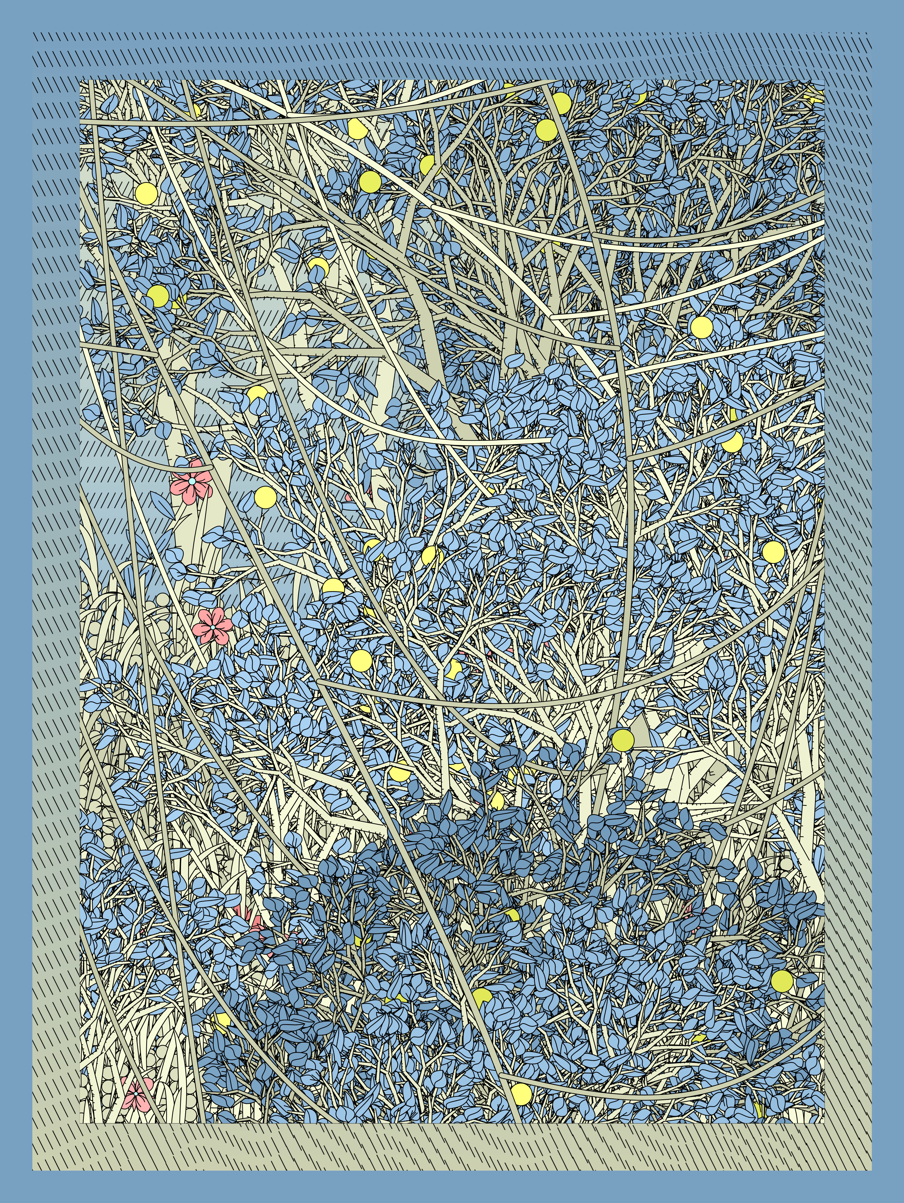 Entangled #232