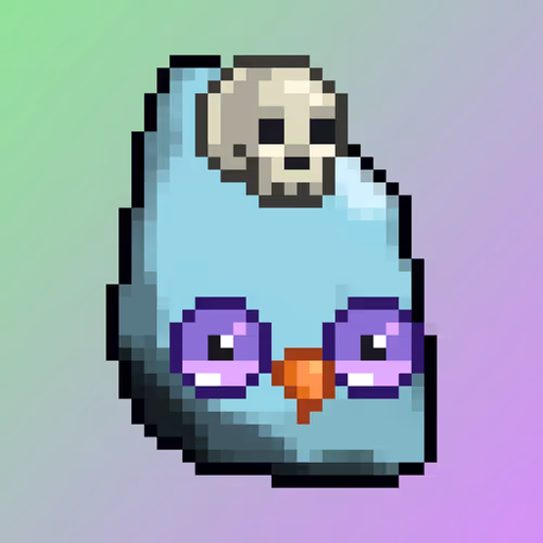 Bird #11