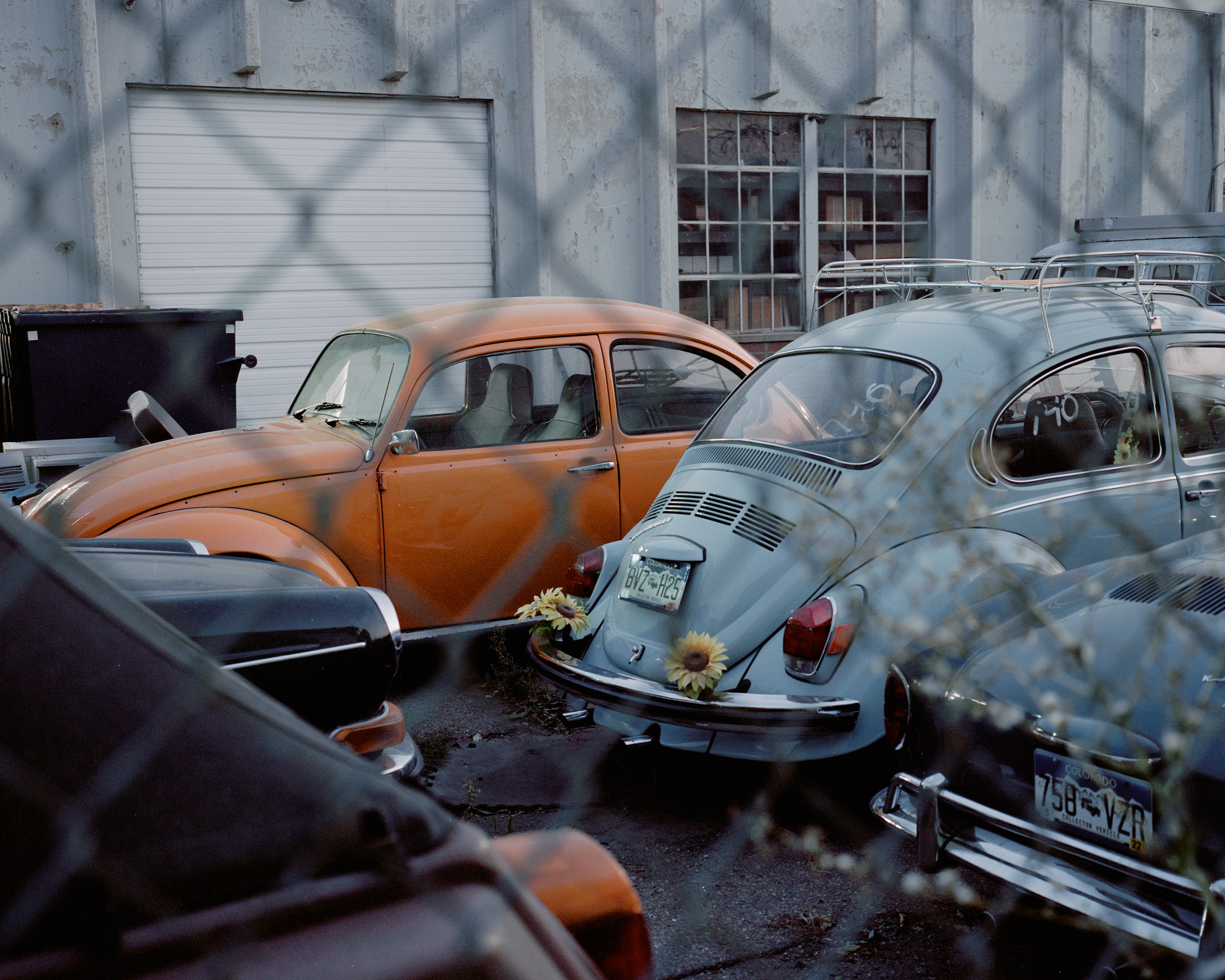 Hidden In Plain Sight #064. Blue Hour Bugs