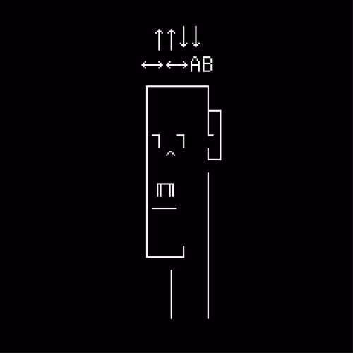 ASCII Punk #1595