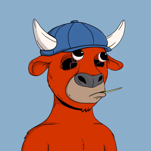 Cool Bulls #37
