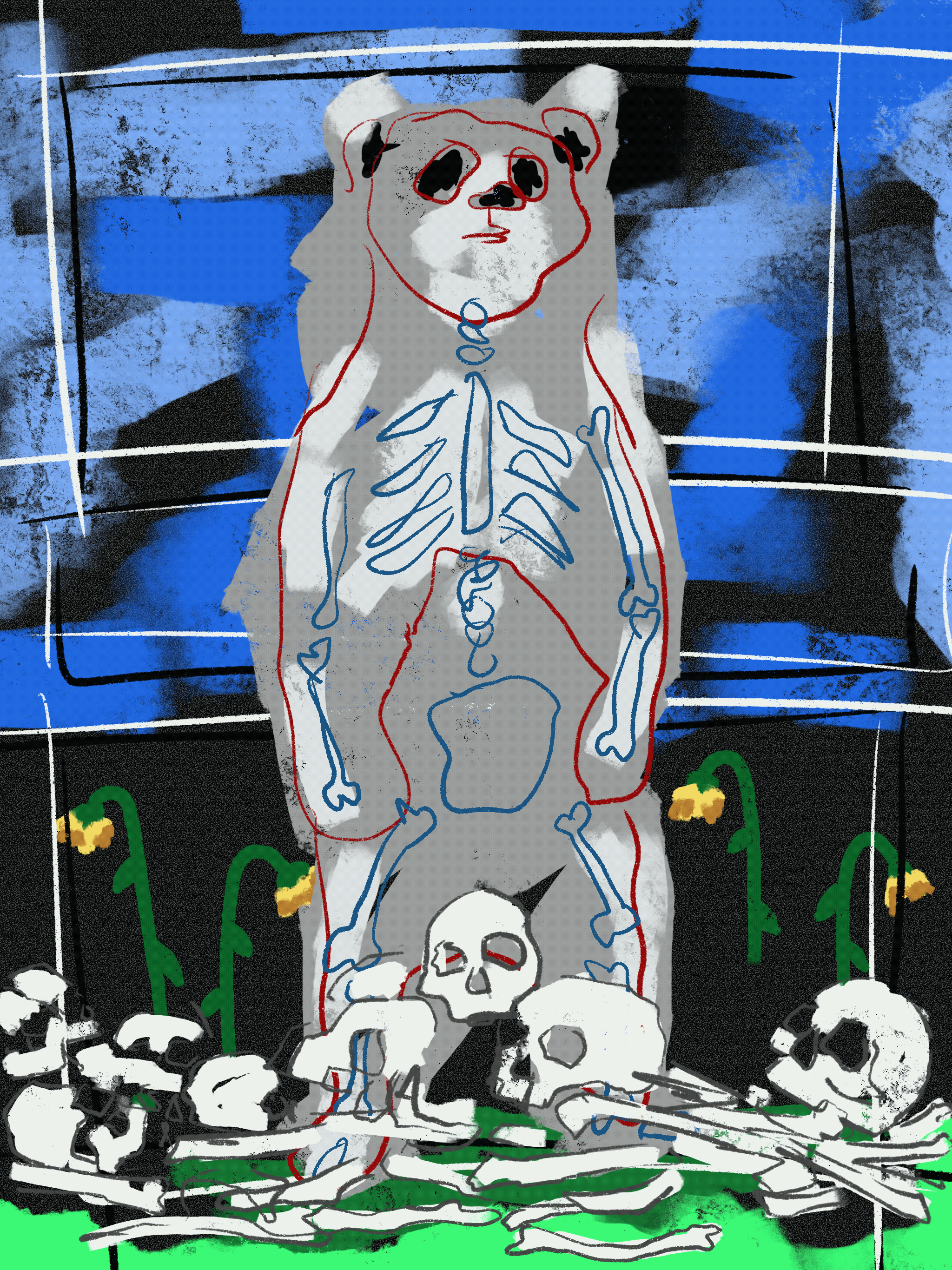 BEAR: MATT SZCZUR