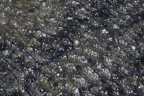 Ebb and Flow #77