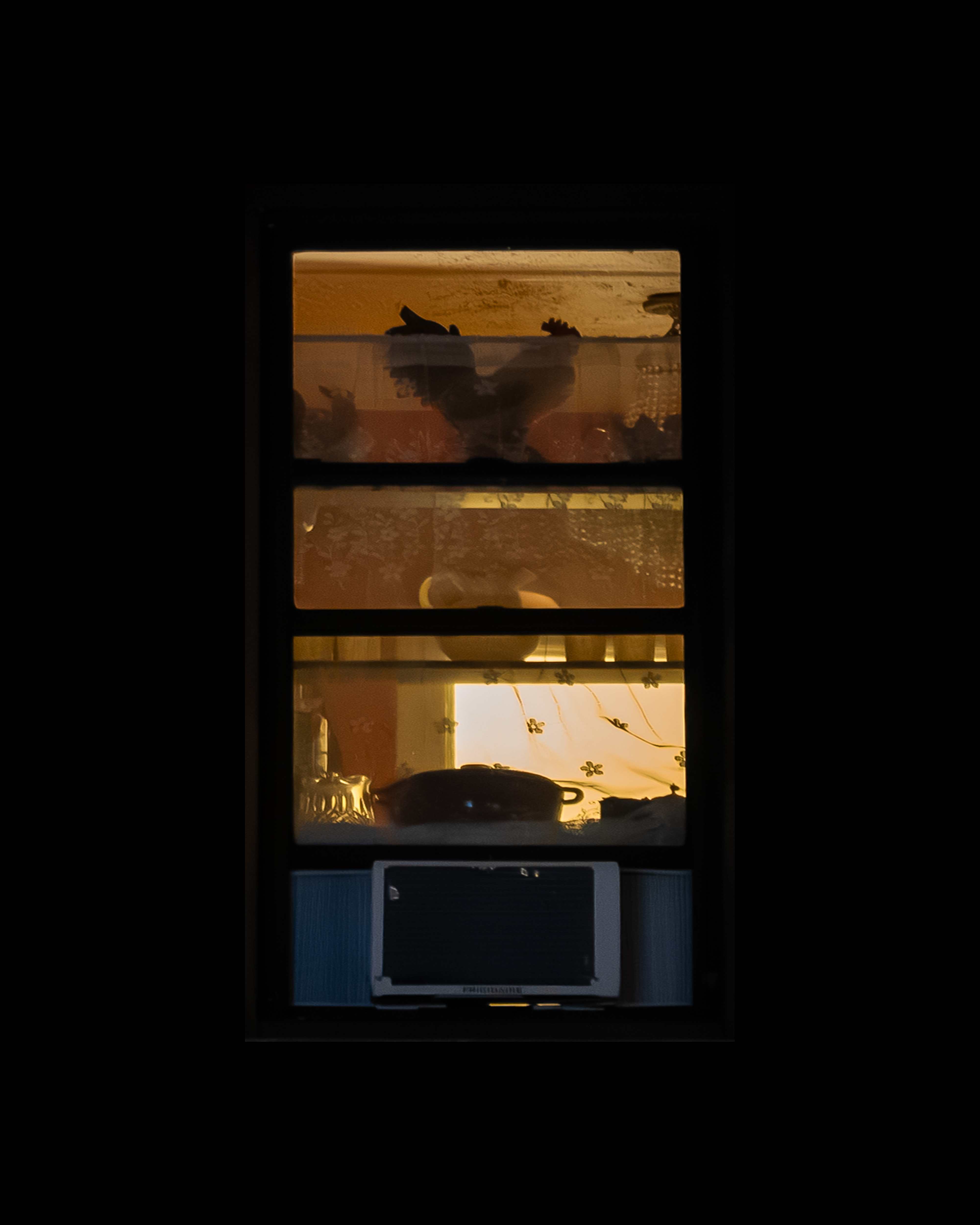 WINDOW 213