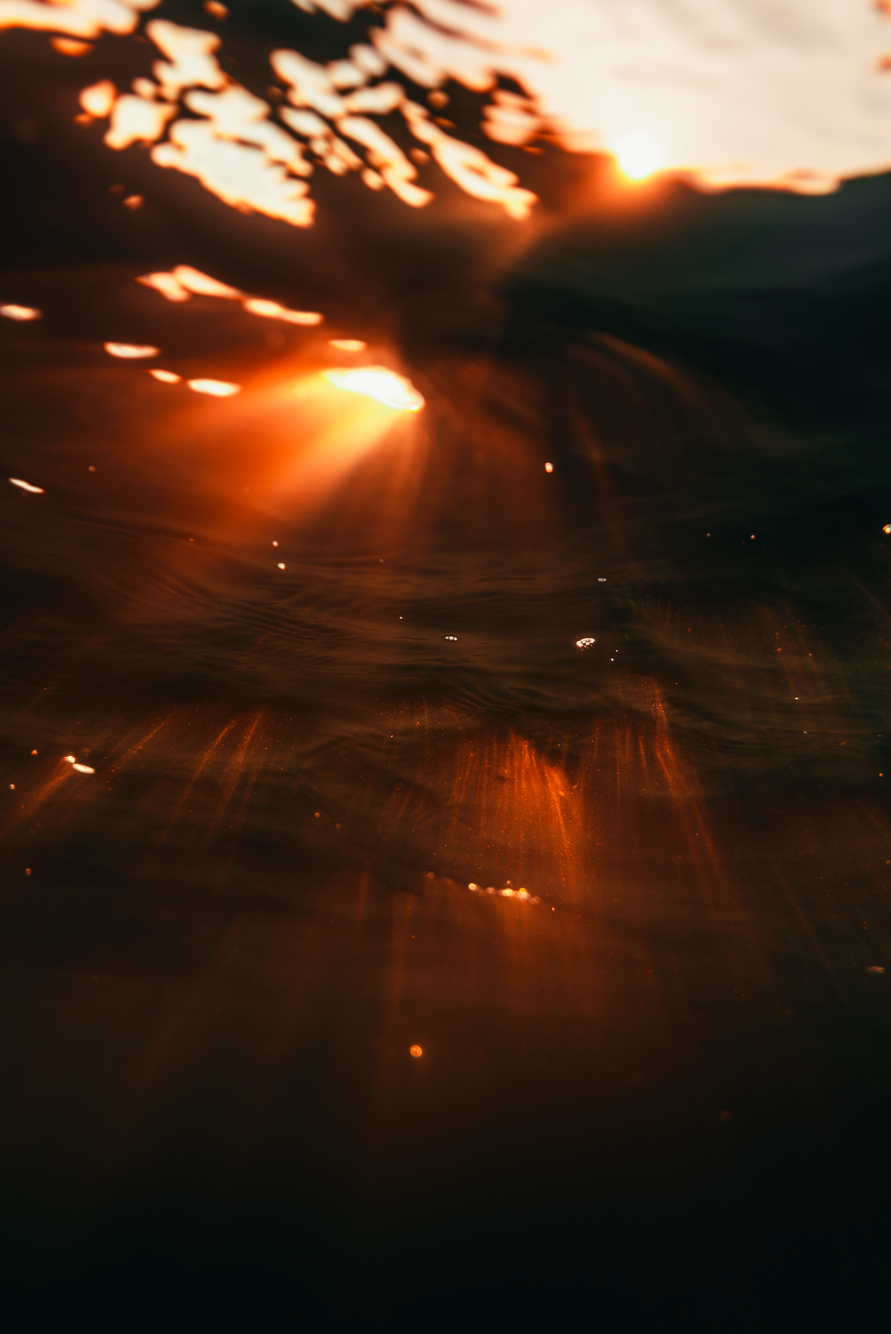 Ocean Effulgence