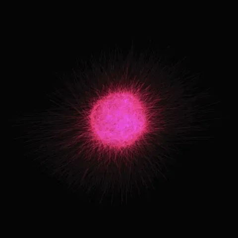 The Star #9