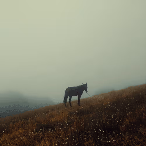 horse
