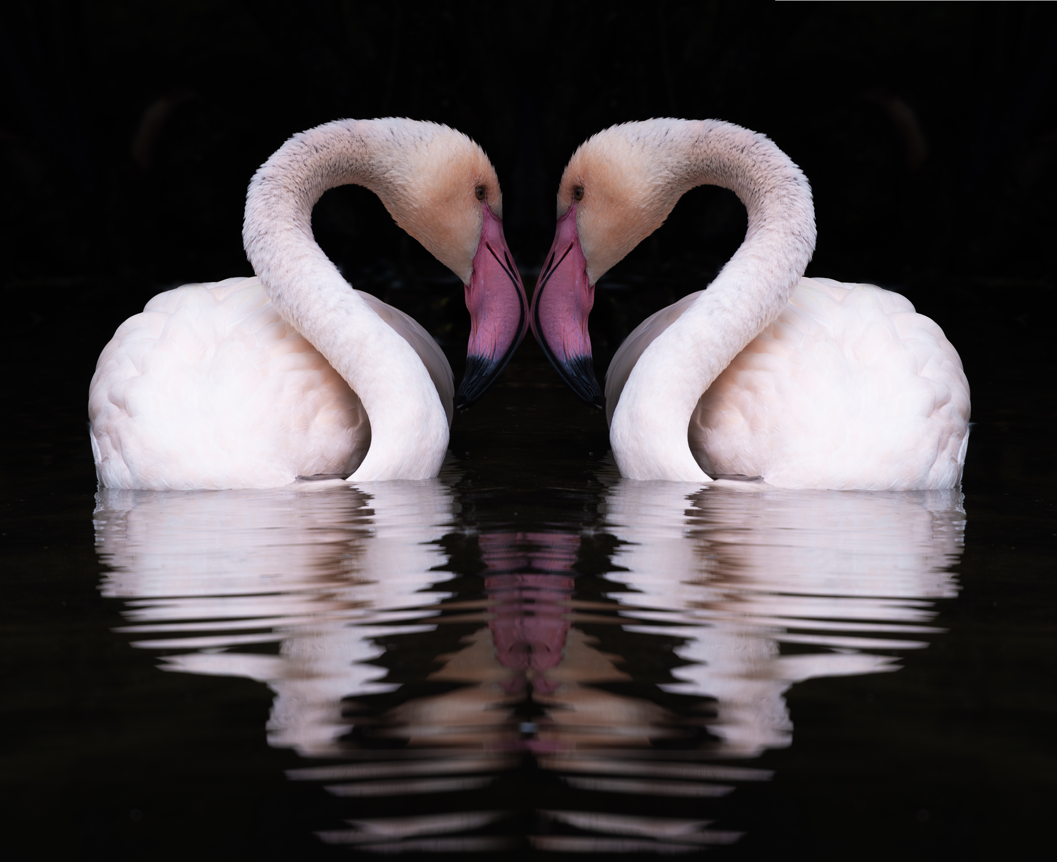 Mirror Moment
