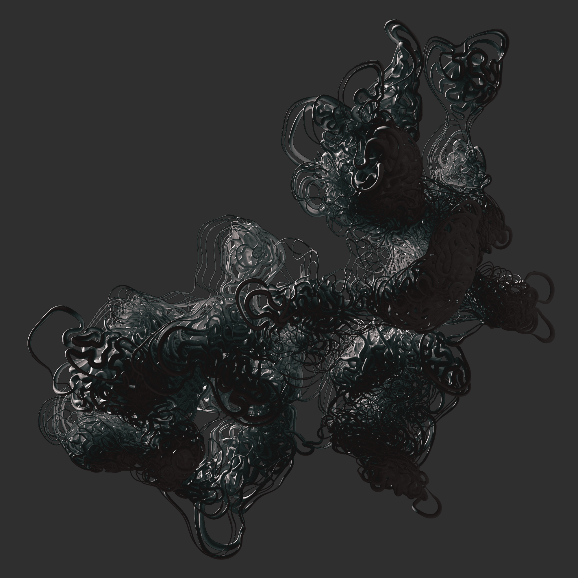 Polymorph: Whale