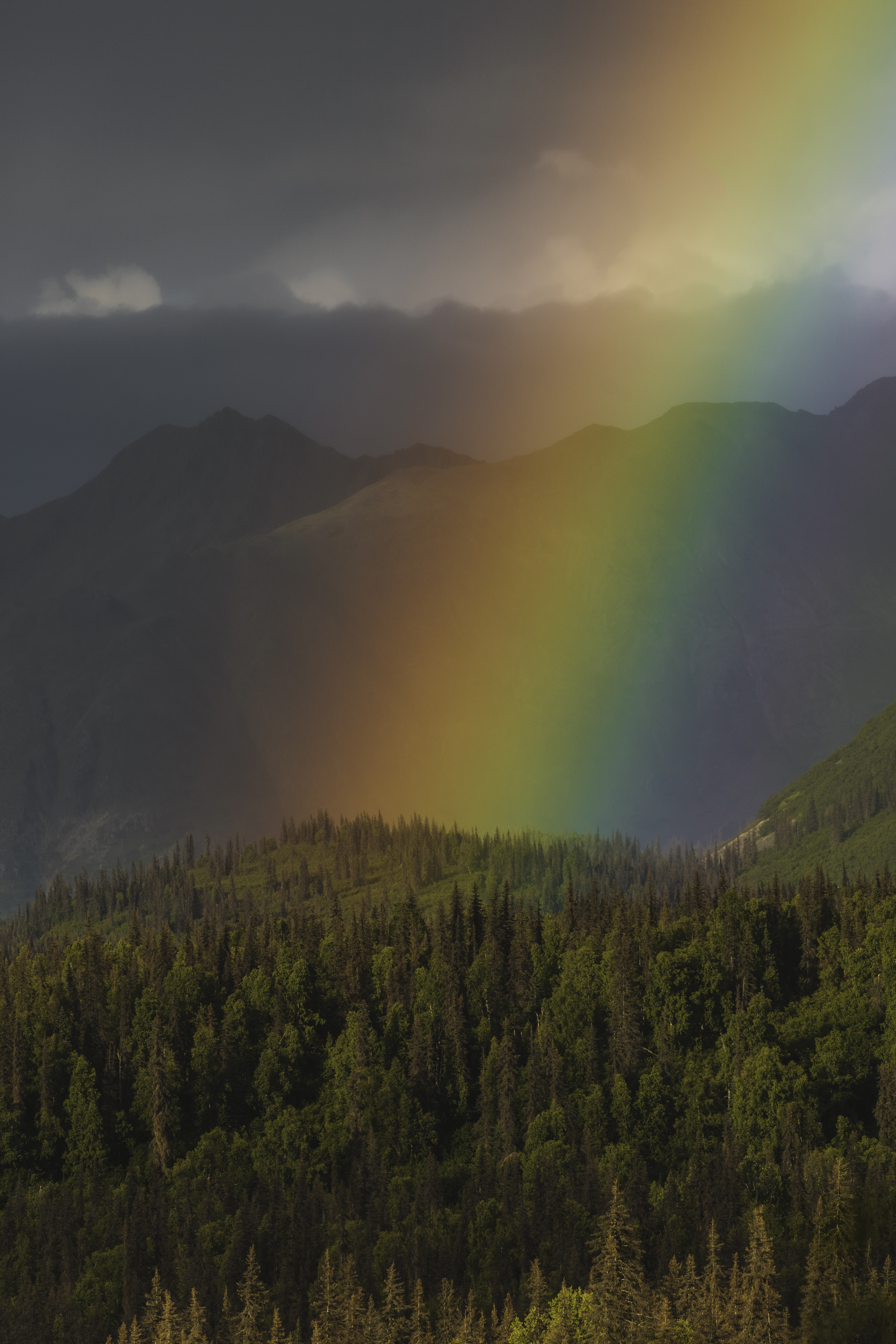 Spectrum