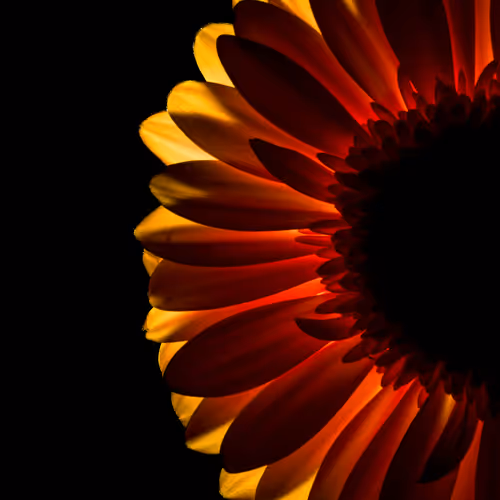 Fiery Passion