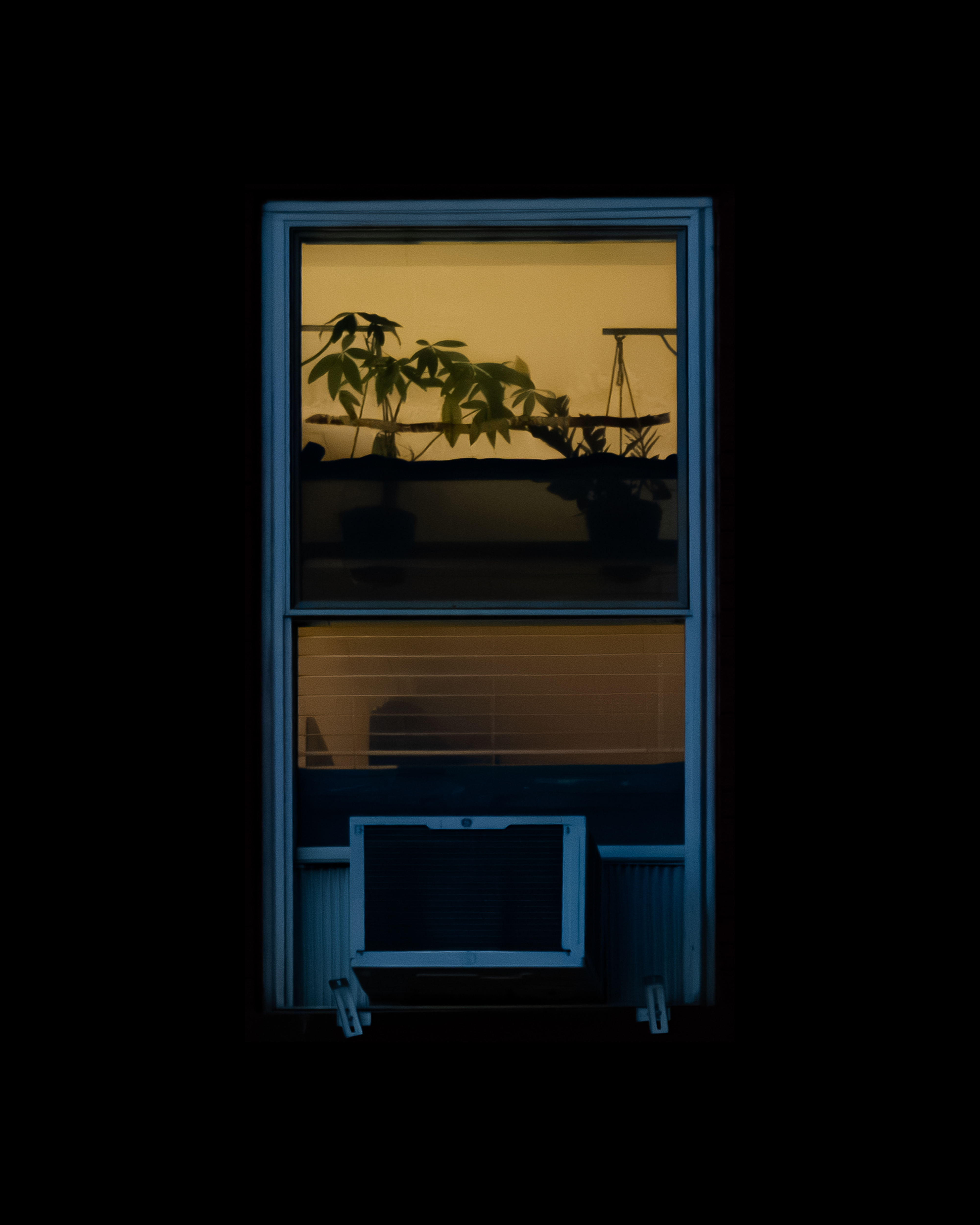 WINDOW 201