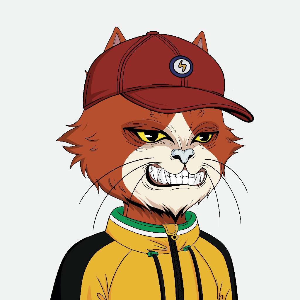 Not Angry Cat #1099