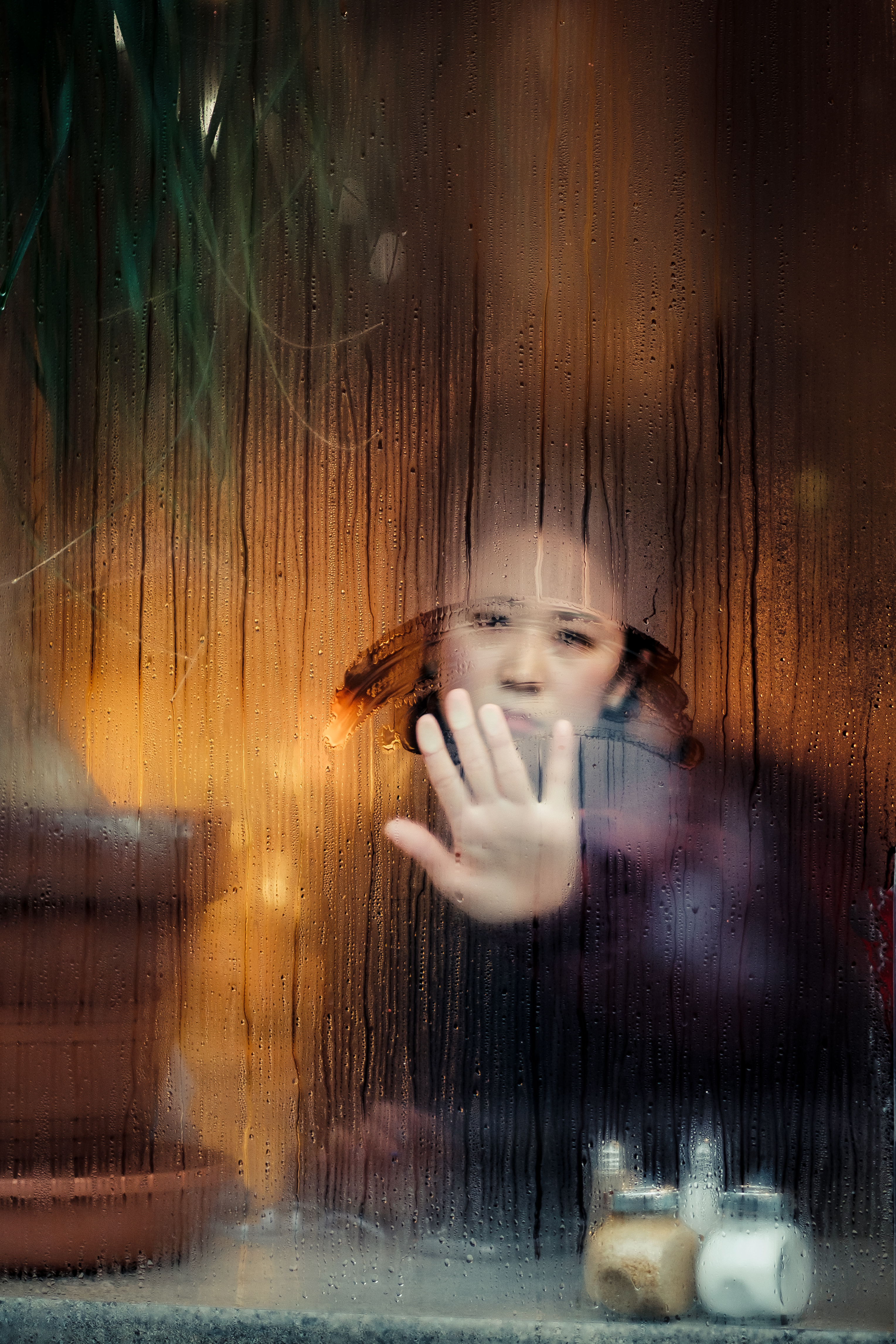 The Girl in the Window