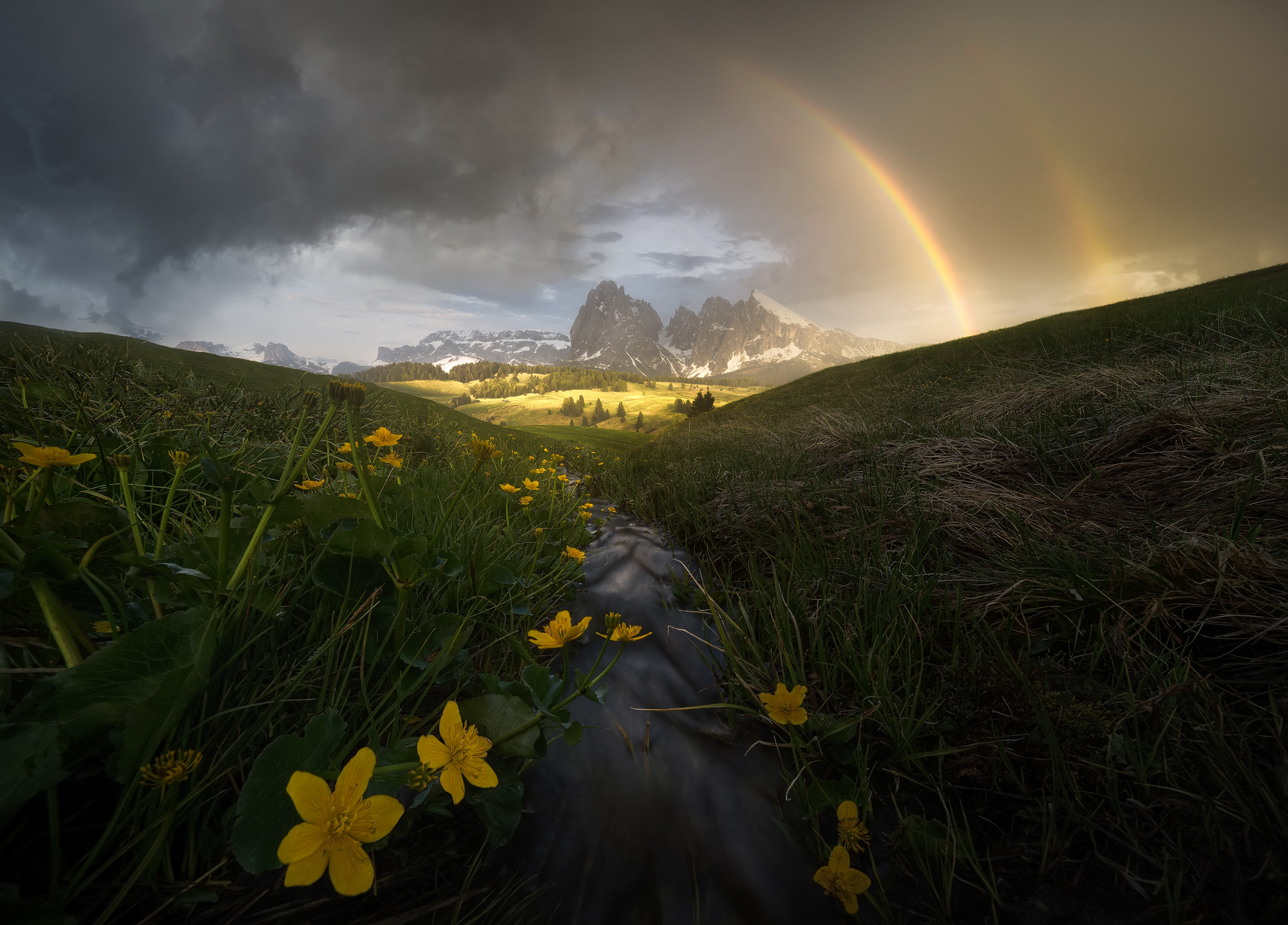 Tales of a Storm