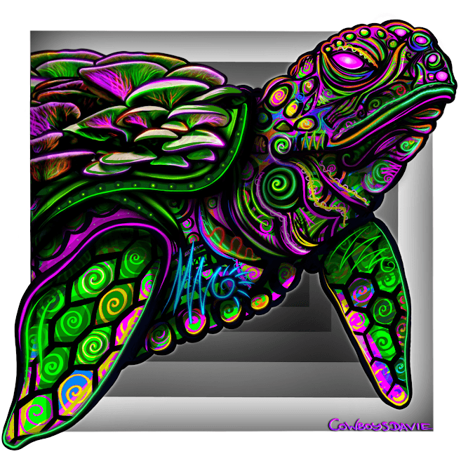 Transcendental Turtle