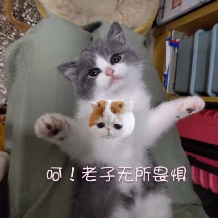 rrr36