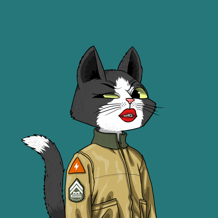 Mars Cat #9900
