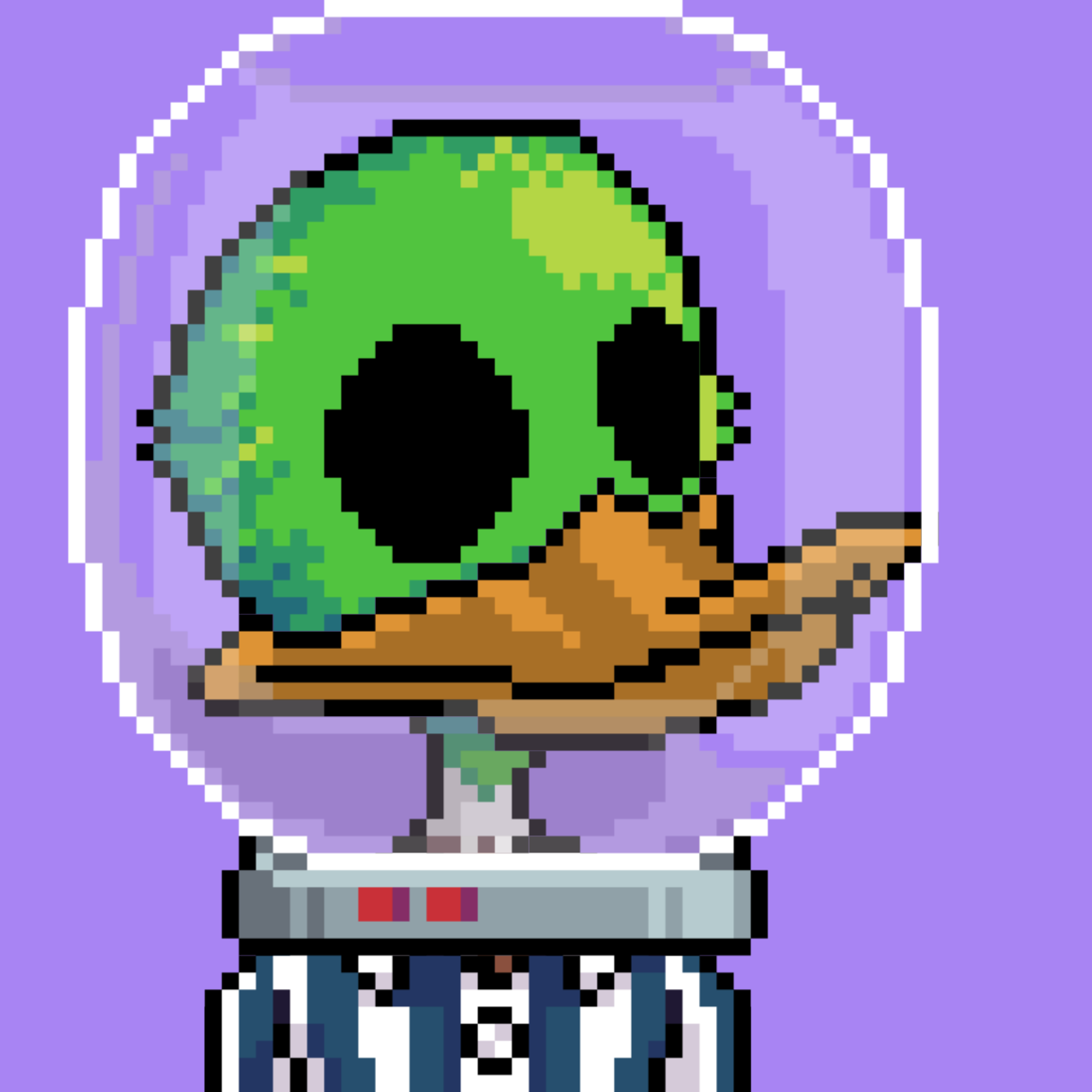 Bone Duck #1352
